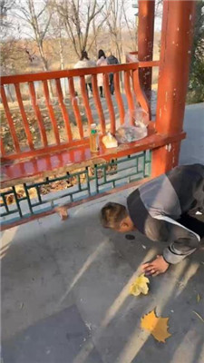 图片[3]_【辣姐】周末公园长靴S遛狗_HD绳艺资源