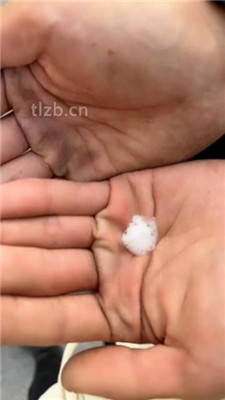 图片[16]_【辣姐】周末公园长靴S遛狗_HD绳艺资源