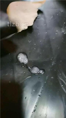 图片[9]_【大美】鞋喂食/吃狗粮/锁住狗畜生_HD绳艺资源