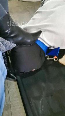 图片[11]_【大美】鞋喂食/吃狗粮/锁住狗畜生_HD绳艺资源