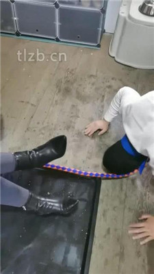 图片[16]_【大美】鞋喂食/吃狗粮/锁住狗畜生_HD绳艺资源