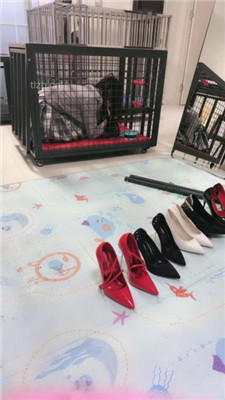 【狠欣人】狗笼圈养囚禁发骚母畜【上】_HD绳艺资源