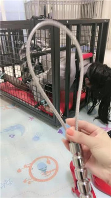 图片[3]_【狠欣人】狗笼圈养囚禁发骚母畜【上】_HD绳艺资源