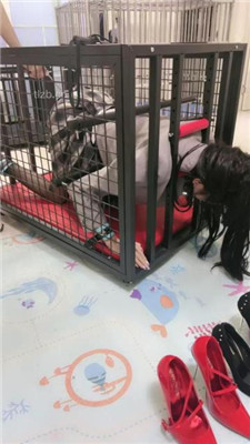 图片[5]_【狠欣人】狗笼圈养囚禁发骚母畜【上】_HD绳艺资源