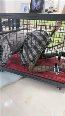 图片[9]_【狠欣人】狗笼圈养囚禁发骚母畜【上】_HD绳艺资源