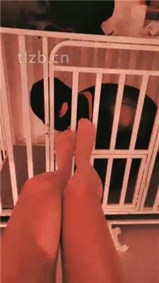【兰芯大人】狗笼囚禁艺术舔脚_HD绳艺资源