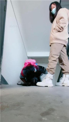 【桃子老师】楼梯间遛狗/踩踏碾压/揪耳朵_HD绳艺资源