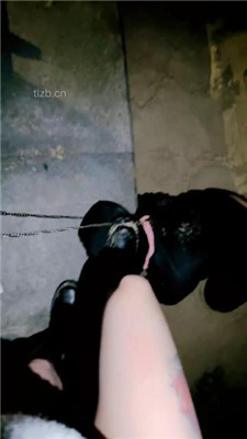图片[6]_【小软】深夜户外训人形犬-遛狗爬行-舔脏鞋-转胯_HD绳艺资源