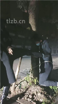 图片[14]_【昭玥】夜调-开车遛狗/骑马钻胯/绑树耳光_HD绳艺资源