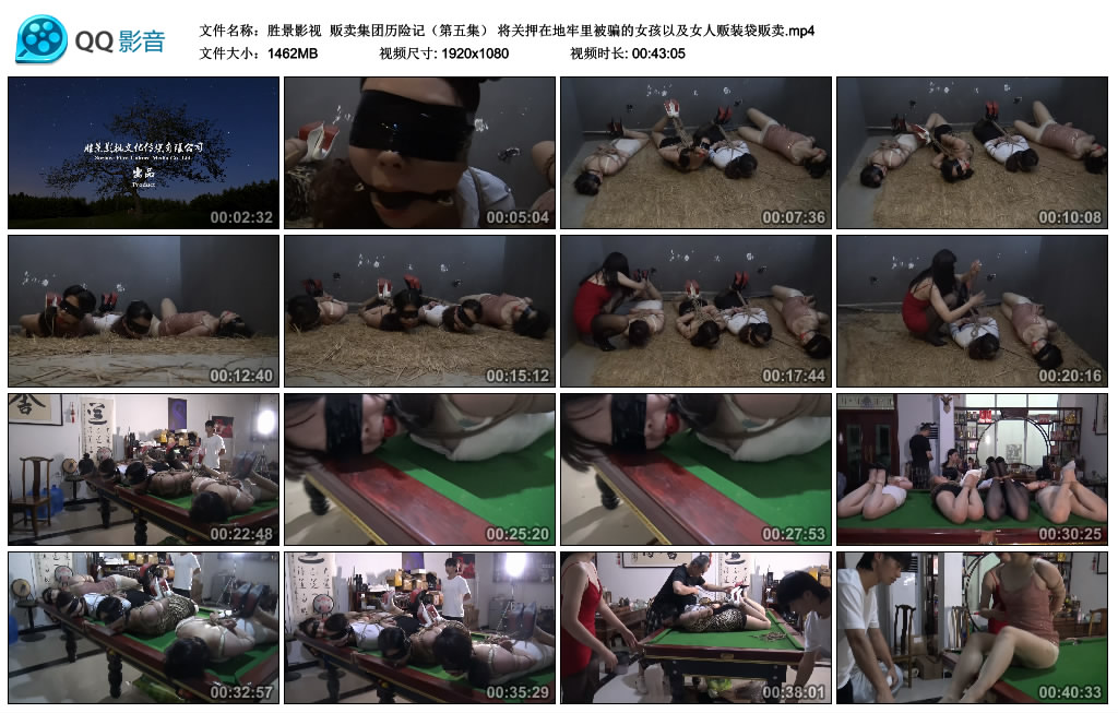 【胜景影视】 贩卖集团历险记（第五集）_HD绳艺资源