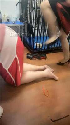 图片[6]_【冰色】狗笼圈养囚禁肥狗_HD绳艺资源