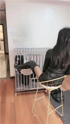 图片[6]_【如梦】反绑圈养狗笼虐废_HD绳艺资源