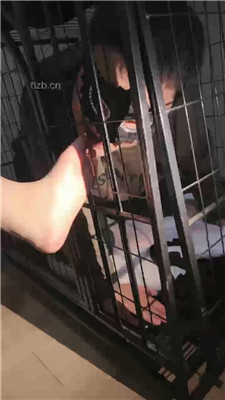 图片[12]_【天津女仆店】带洛丽塔素人入圈做S_HD绳艺资源