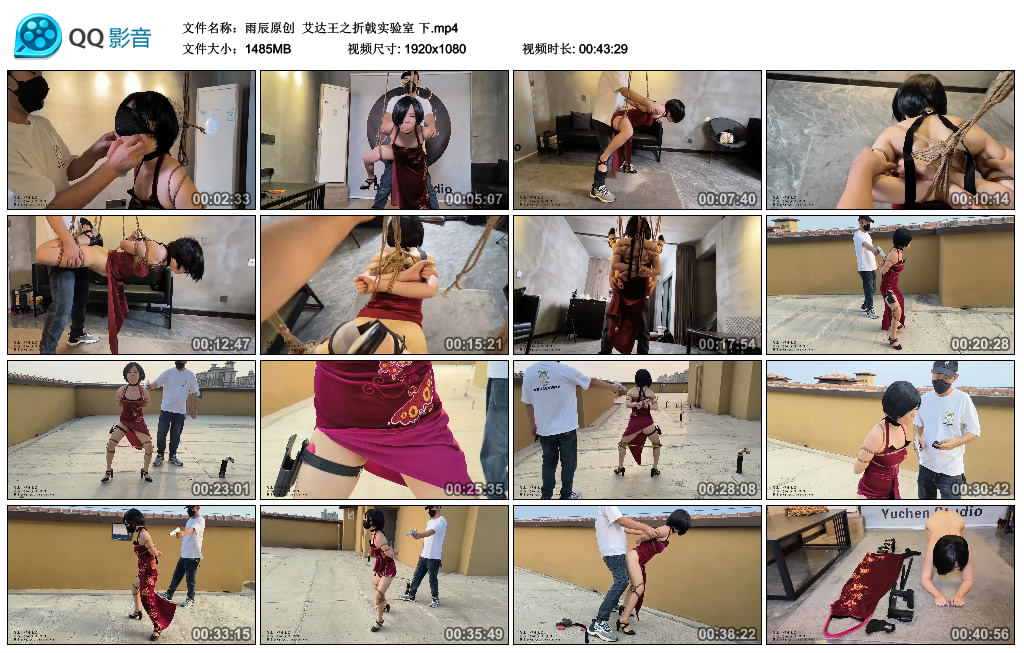 【雨辰原创】 艾达王之折戟实验室 下_HD绳艺资源