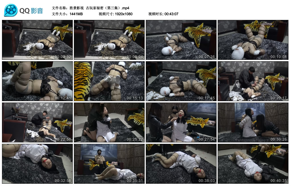 【胜景影视】 古玩家秘密（第三集）_HD绳艺资源