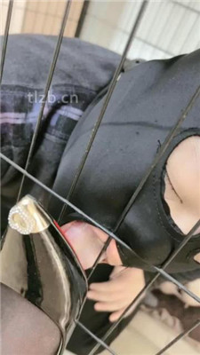 图片[3]_【猫咪大大】真实圈养狗-舔脏鞋底/吃剩饭剩菜/开发圣水_HD绳艺资源