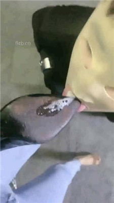 图片[17]_【高傲】狗笼圈养/骑马爬行/喂口水/训练/训练_HD绳艺资源