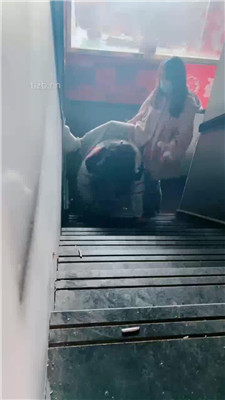 图片[6]_【桃子老师】户外楼梯间-小白鞋白袜虐母畜_HD绳艺资源