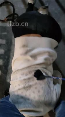 图片[6]_【月岚】刑房囚禁-遛狗爬行-踩踏碾压_HD绳艺资源