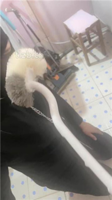 图片[6]_【小月牙】训练厕奴-踩踏/头压马桶/口水吐脸/赏赐圣水/胶带裹脸_HD绳艺资源