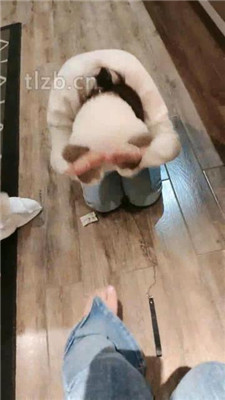 图片[18]_【爱可呀】双S-和超模玩弄赏赐母狗学姐【双视角版】_HD绳艺资源