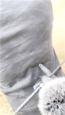 图片[8]_【沅芷大人】吊绑树上鞭子狂抽_HD绳艺资源