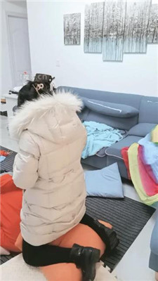 图片[6]_【朱迪绳艺导师】刑讯逼供偷原味的狗【下】双视角版_HD绳艺资源