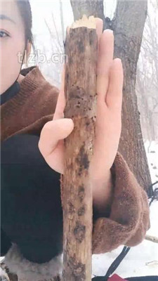 图片[4]_【卡罗琳】户外冰天雪地调-绳艺技巧棍棒重度sp_HD绳艺资源