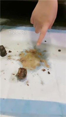 图片[3]_【素人星探】20分钟不间断呕吐物_HD绳艺资源