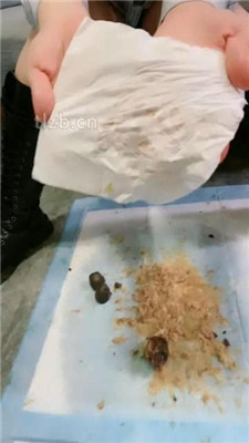 图片[9]_【素人星探】20分钟不间断呕吐物_HD绳艺资源