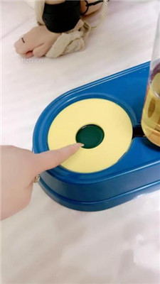 图片[2]_【茹雪】母畜-圈养犬化-玫瑰艺术装置塞嘴/吃丝袜/舔圣水_HD绳艺资源