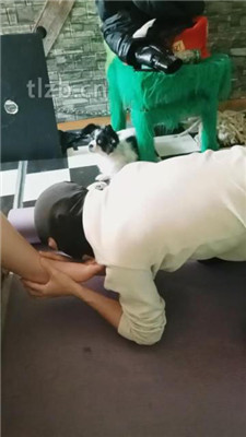 【哈市77s】跪舔高跟臭脚丫_HD绳艺资源