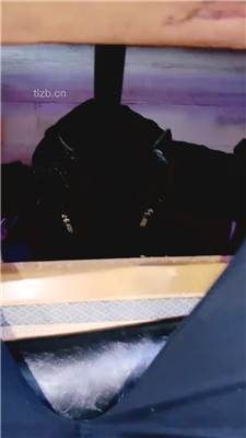 【芷镜】养生馆公开处刑踩狗【完整版】_HD绳艺资源