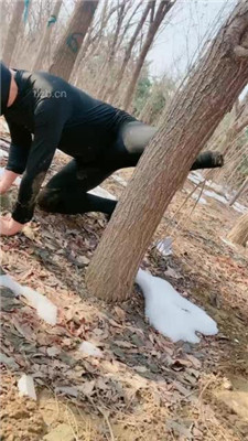 图片[17]_【高傲】户外训狗-训练/浓痰/赏赐圣水/骑马_HD绳艺资源