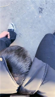 图片[8]_【沐夏夜】户外景区溜双狗_HD绳艺资源