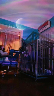 图片[2]_【语阳】狗笼圈养驯化前任_HD绳艺资源