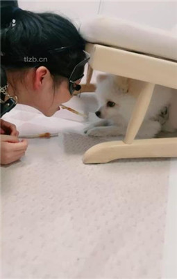 图片[7]_【爱神】情侣奴犯贱-高难度挑战踢踹/脚喂食/sp/吃浓痰_HD绳艺资源