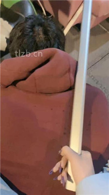 图片[4]_【冰诺】重度虐打挑战偷懒家奴_HD绳艺资源