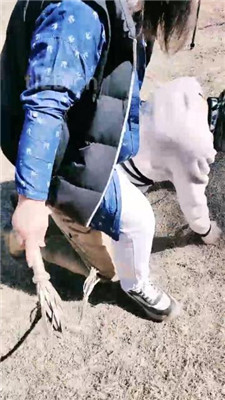 图片[5]_【若澜女主】户外窒息狗/踩踏被玩晕_HD绳艺资源