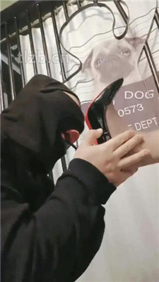 图片[11]_【昭月】暗黑刑房-刑讯逼供的乐趣【下】_HD绳艺资源