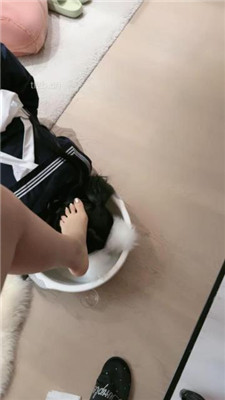 图片[15]_【美美子】牛奶浴足舌头保养/混合升水洗脚水艺术喝到饱_HD绳艺资源