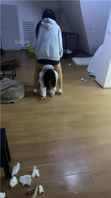 图片[6]_【女仆店萌萌】圈养母畜没睡醒就被姐妹花玩弄_HD绳艺资源