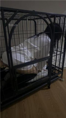 图片[14]_【女仆店萌萌】圈养母畜没睡醒就被姐妹花玩弄_HD绳艺资源