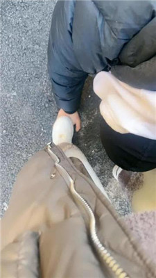 图片[2]_【酒鸽】大冬天户外遛狗虐_HD绳艺资源