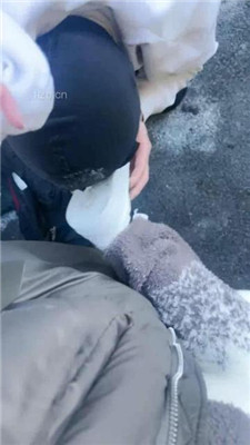 图片[7]_【酒鸽】大冬天户外遛狗虐_HD绳艺资源