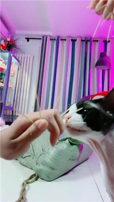 图片[5]_【美离子】双S-麻包袋囚禁虐打贱奴_HD绳艺资源