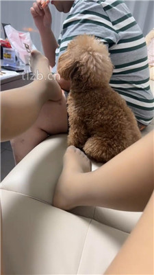 图片[7]_【冰色】闻舔主人的原味肉丝jio_HD绳艺资源