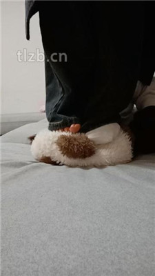 图片[15]_【爱可呀】母畜-清理脏鞋/闻棉袜/对鞋磕头/袜子塞嘴_HD绳艺资源