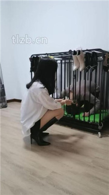 【凌儿】狗笼圈养囚禁生活_HD绳艺资源