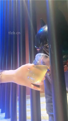 图片[17]_【咩祖】跪舔高跟脏鞋/碾压踩狗头/舔鞋底口水/赏赐圣水_HD绳艺资源